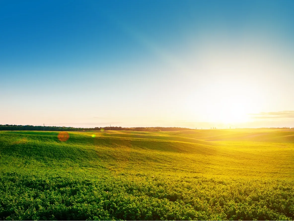Sunrise over a green field